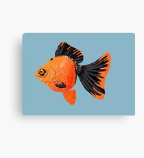 Goldfish Canvas Print