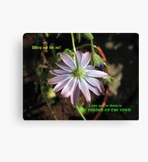 Farewell, Pretty One! Bereavement Card Leinwanddruck