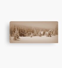 rush! Canvas Print