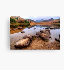 Blea Tarn, Lake District Canvas Print