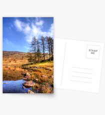 Blea Tarn, Lake District Postcards