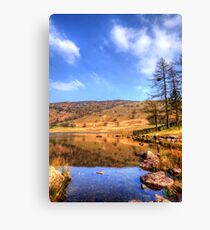 Blea Tarn, Lake District Canvas Print