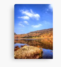 Blea Tarn, Lake District Canvas Print