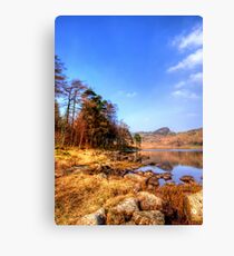 Blea Tarn, Lake District Canvas Print