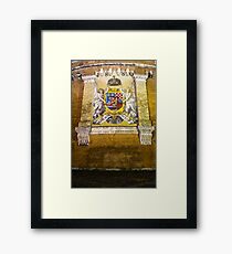 Budapest beauty Framed Print