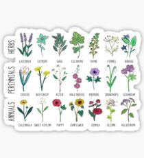 plants, herbs, & Co Sticker