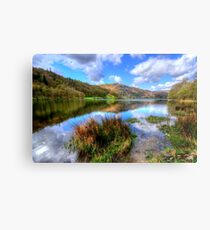 Grasmere, Lake District Metal Print