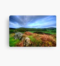 Duddon Valley, Lake District Canvas Print