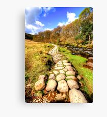 Grasmere, Lake District Canvas Print