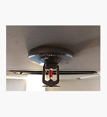 fire sprinkler, d Photographic Print