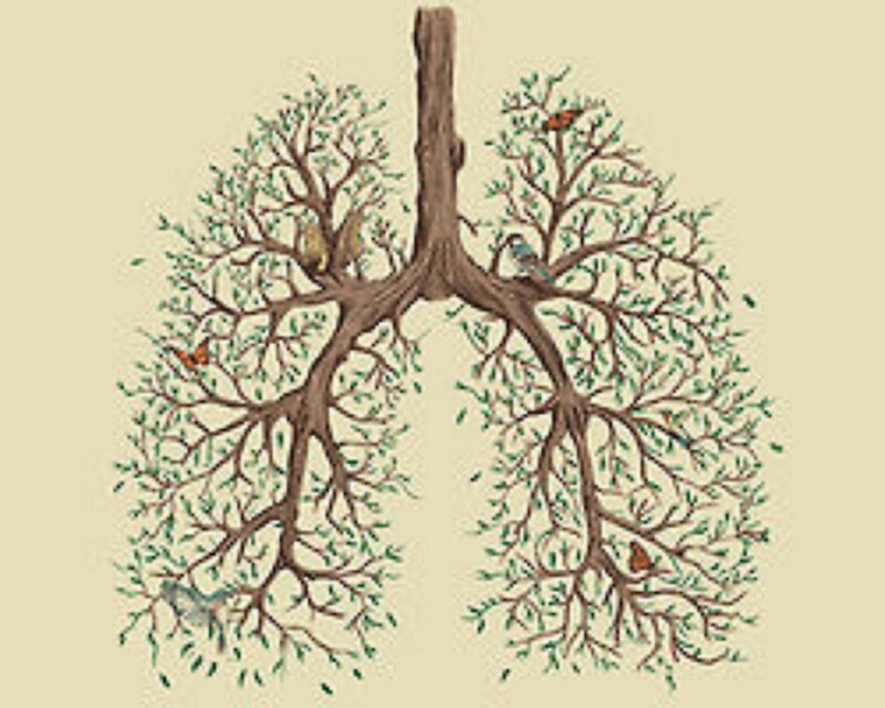 "Tree Lungs" Posters by Lady Storminite | Redbubble
