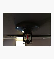 fire sprinkler, l Photographic Print