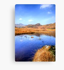 Blea Tarn, Lake District Canvas Print