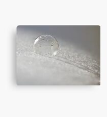 Bubbles in Freezing Temperatures Canvas Print