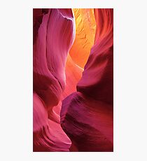 Angel's Wings Photographic Print