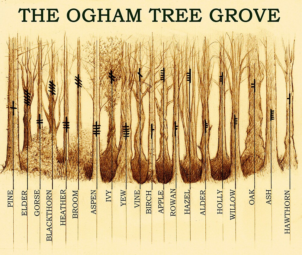 Ogham symbols and meanings