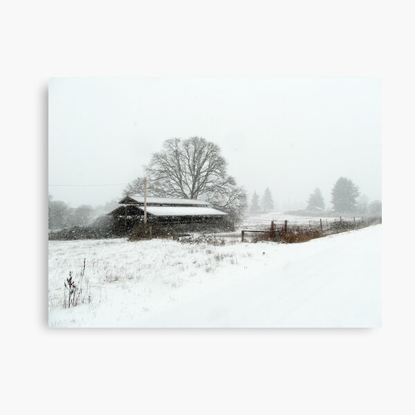 On The Way To White Canvas Print
