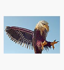 Eagle of vegetables Photographic Print