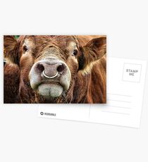 Bully Postcards