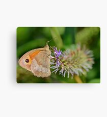 Gatekeeper Canvas Print
