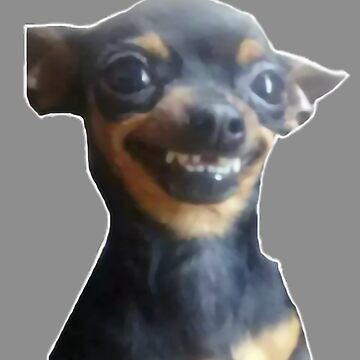 perro sonriendo meme