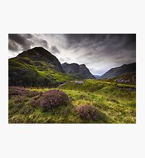 Scotland - Glencoe Heather Photographic Print