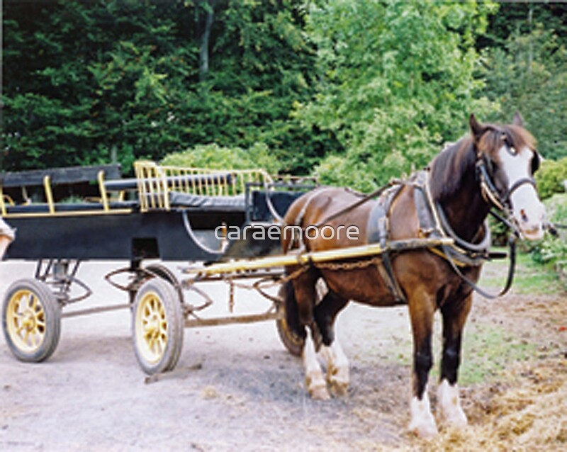 "Duke & Cart" By Caraemoore | Redbubble