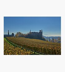 Burkheim, Kaiserstuhl - the castle Photographic Print