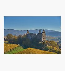 Burkheim, Kaiserstuhl - another view of the castle Photographic Print