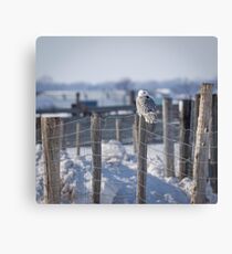 Project SNOWstorm Canvas Print