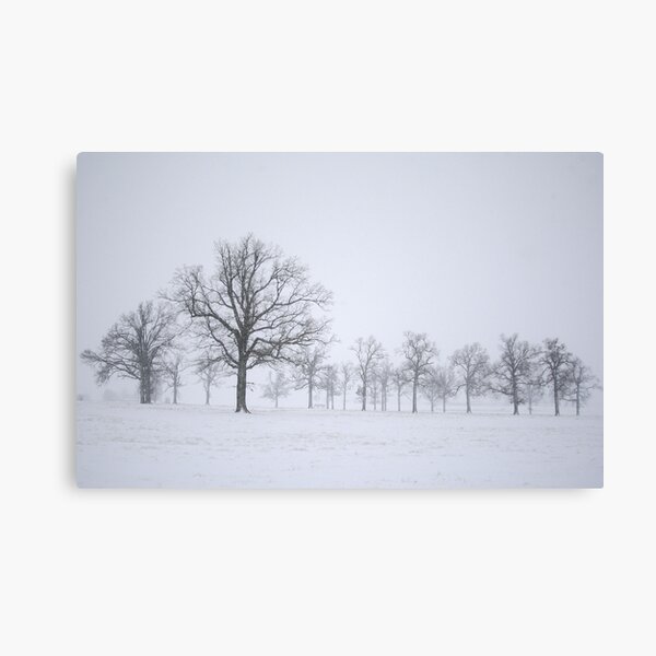 Sentinels Canvas Print