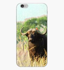 Wasserbüffel iPhone-Hülle & Cover
