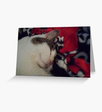 Snuggle Kitty Greeting Card