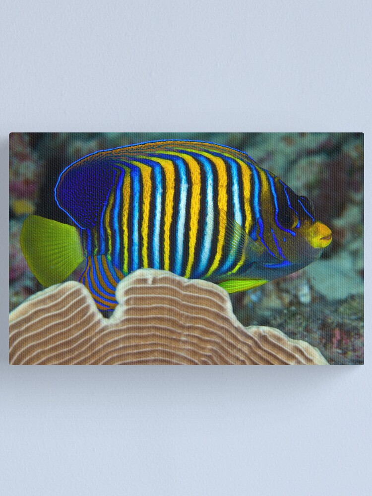 Alternate view of Regal Canvas Print