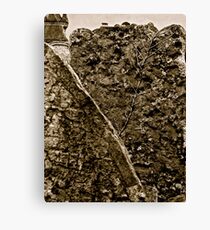 Headstones Canvas Print