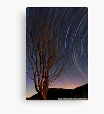 tree star Canvas Print