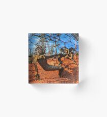survival Acrylic Block