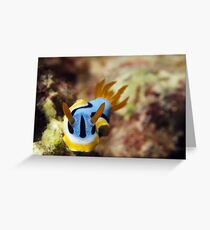 Nudi Greeting Card
