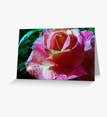 Midnight Rose Greeting Card