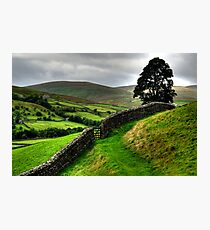 Swaledale Photographic Print