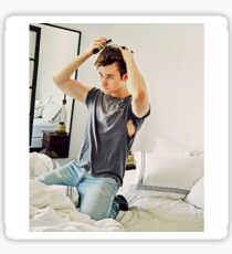 Chris colfer Sticker