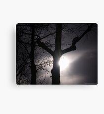 Dead Tree Canvas Print