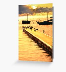 Matilda Bay Greeting Card