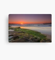 Maroubra Beach Canvas Print