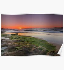 Maroubra Beach Poster