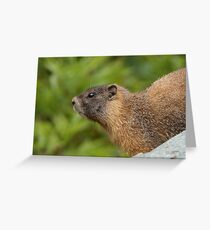 My Beautiful Fur Greeting Card