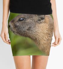 My Beautiful Fur Mini Skirt