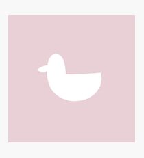 White Duck Photographic Print