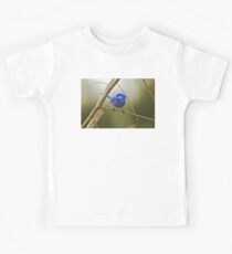 Splended Fairy Wren Kids Tee