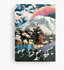 Its dangerous to go alone ... Metal Print